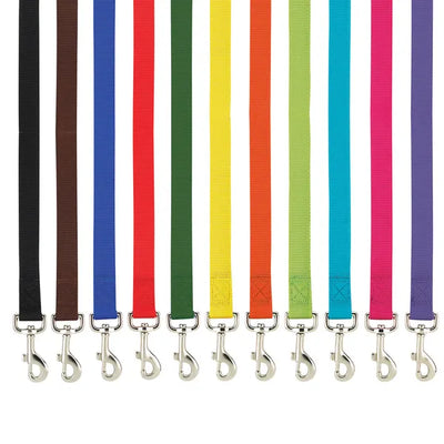 Casual Canine Classic Nylon Lead - Select Size/Color