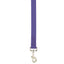 casual canine lead 6ftx5 8in purple