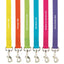 Casual Canine Classic Nylon Lead - Select Size/Color