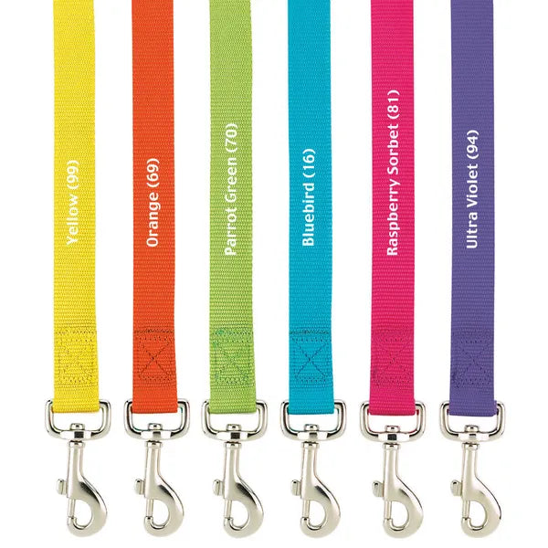 Casual Canine Classic Nylon Lead - Select Size/Color