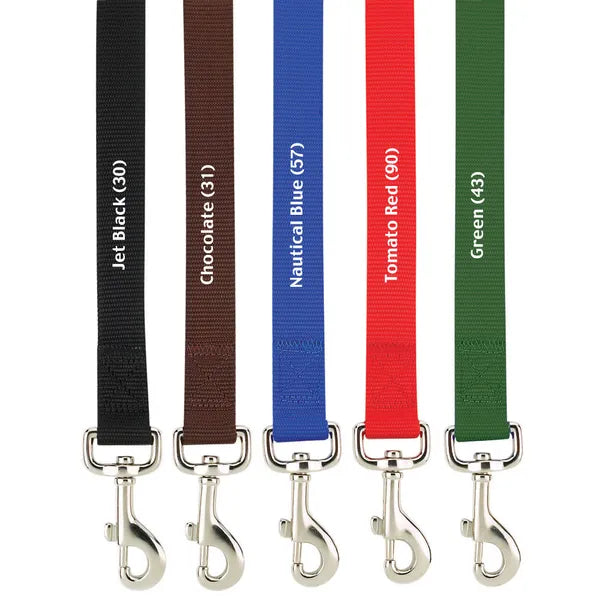 Casual Canine Classic Nylon Lead - Select Size/Color