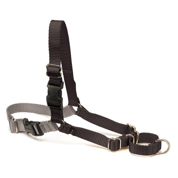 Petsafe Easy Walk Harness M Blk