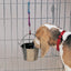 ProSelect Flat Sided Stainless Steel Pail for Cages and Kennels - Size Choice