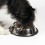 ProSelect X-Super Heavy Duty No-Tip Mirror Bowls - Select a Size