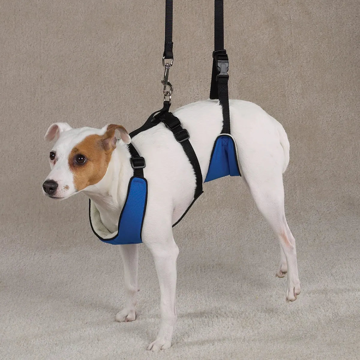 Pet Edge Total Pet Health 4-in-1 Lift & Lead Dog Harness