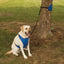 Pet Edge Total Pet Health 4-in-1 Lift & Lead Dog Harness