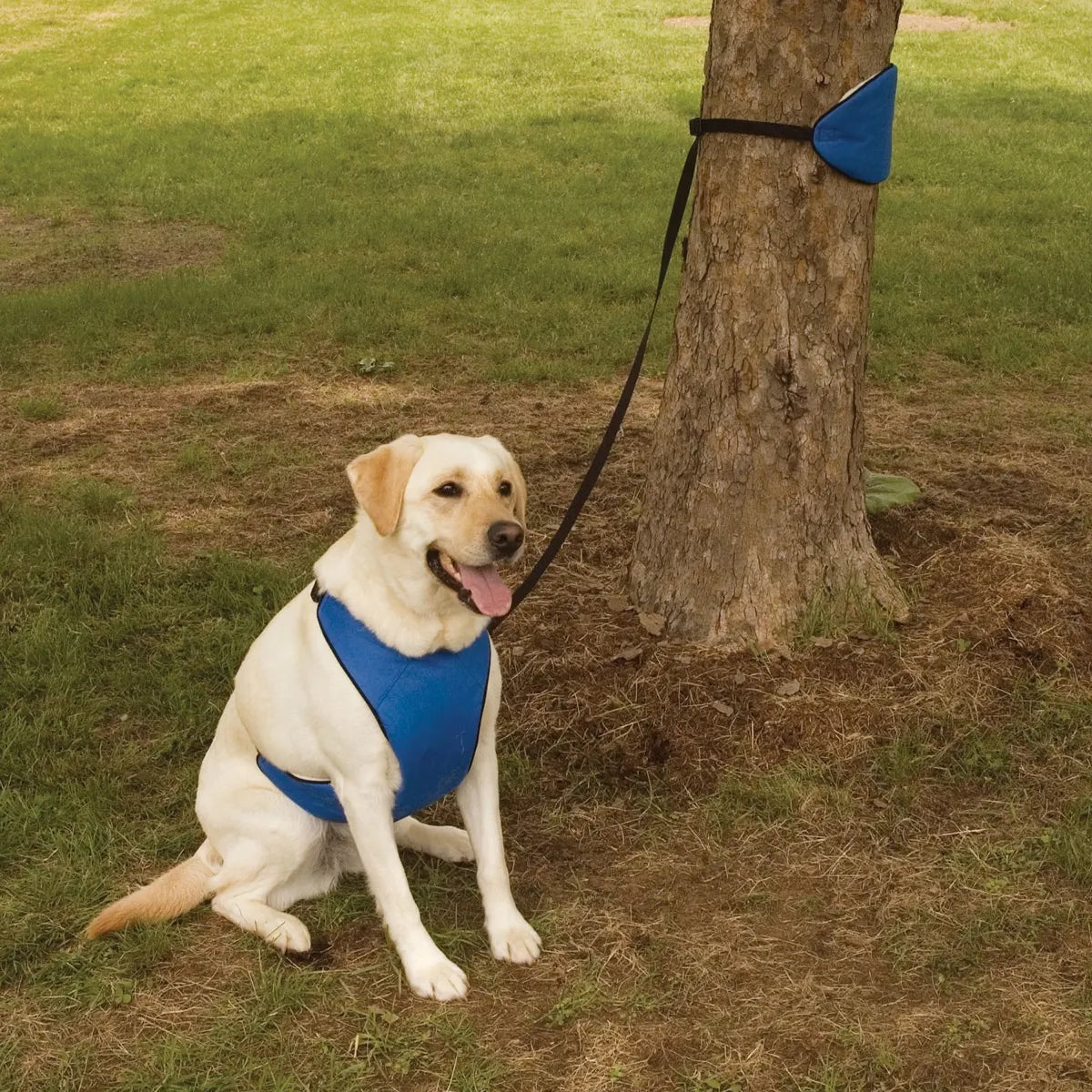 Pet Edge Total Pet Health 4-in-1 Lift & Lead Dog Harness