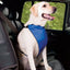 Pet Edge Total Pet Health 4-in-1 Lift & Lead Dog Harness