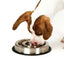 Pet Edge Heavy Duty Stainless Steel Slow Feeder Dog Bowl – Select a Size
