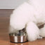 ProSelect Stainless Steel Dog Bowl with Non-Slip Rubber Base - Size Option