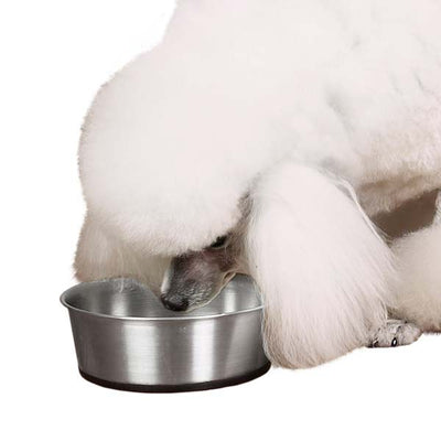 proselect stainless steel bowl with rubber base 52oz
