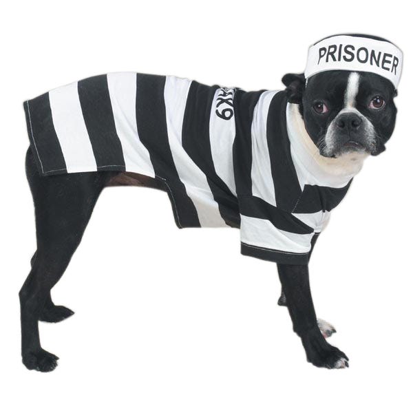 CC Prison Pooch Costume XS